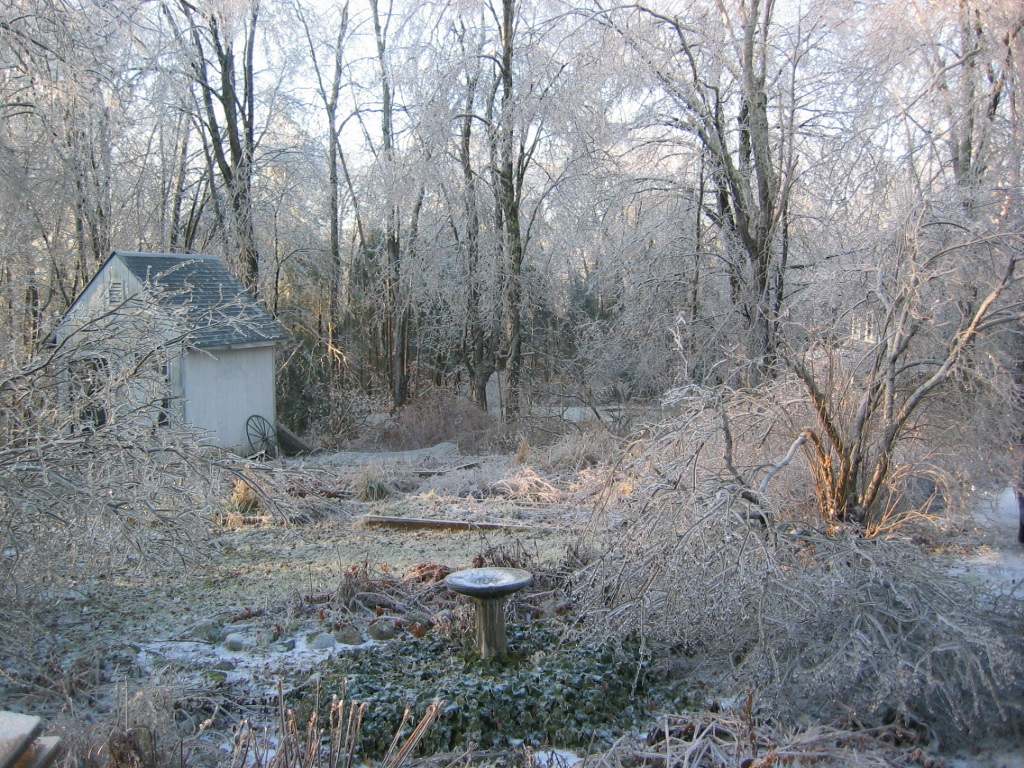 New Hampshire Ice Storm December 11, 2008